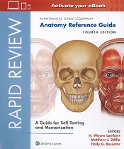 Rapid Review Anatomy Reference Guide