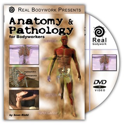 Anatomy & Pathology DVD