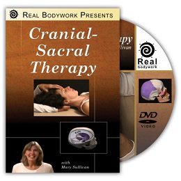 Cranial Sacral Therapy DVD