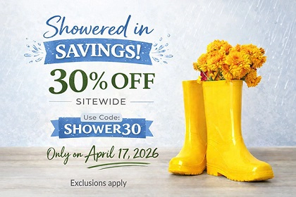 Today Only! Save 30% on Massage CE