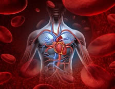 Hypertension, Cholesterol & Massage