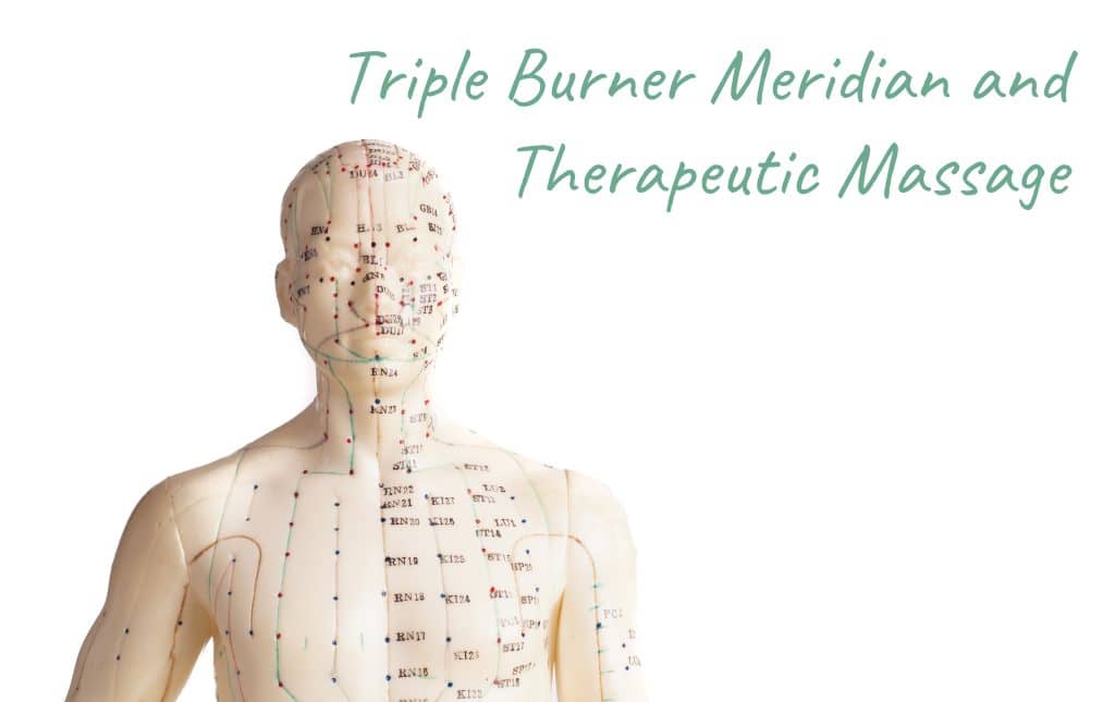 Acupuncture model of human showing meridian lines