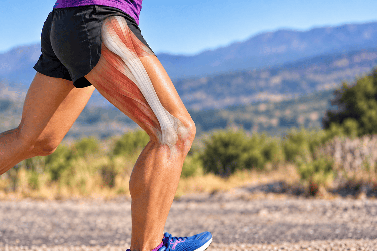 A Summary of Iliotibial Band Syndrome for Bodyworkers