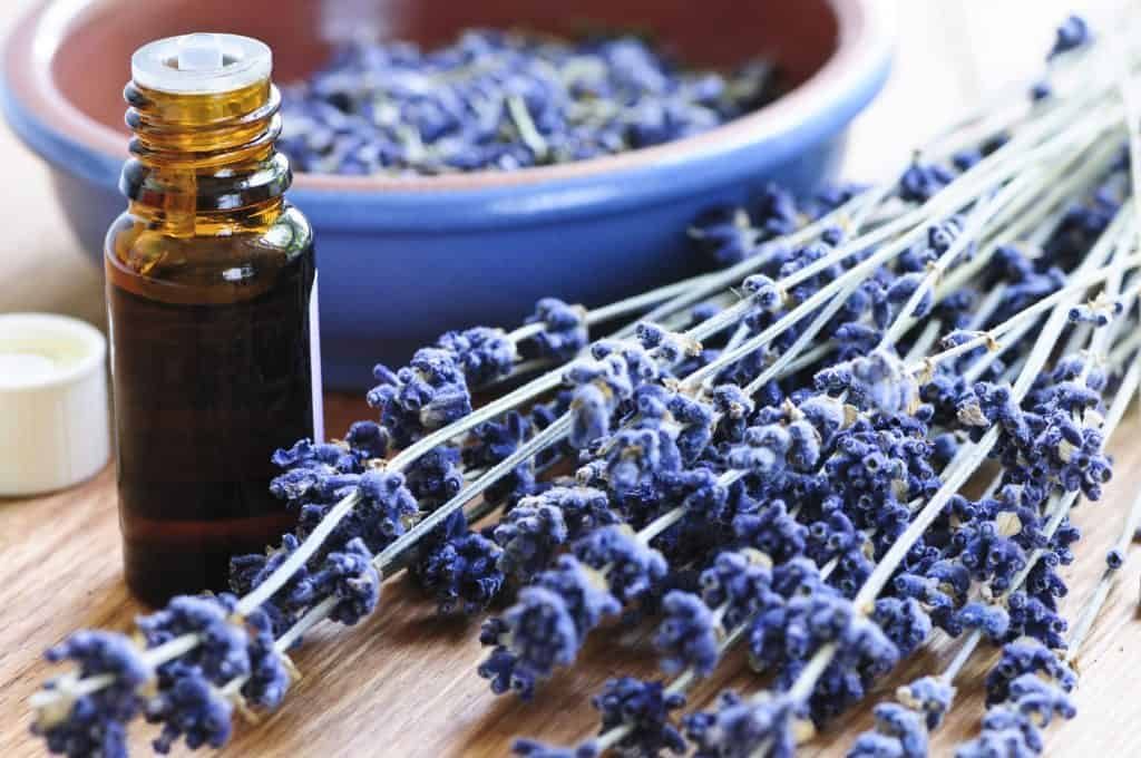 Brown glass essential oil bottle on a table next to stalks of lavender flowers