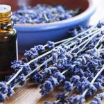 Essential Oils Ease Menstrual Cramps