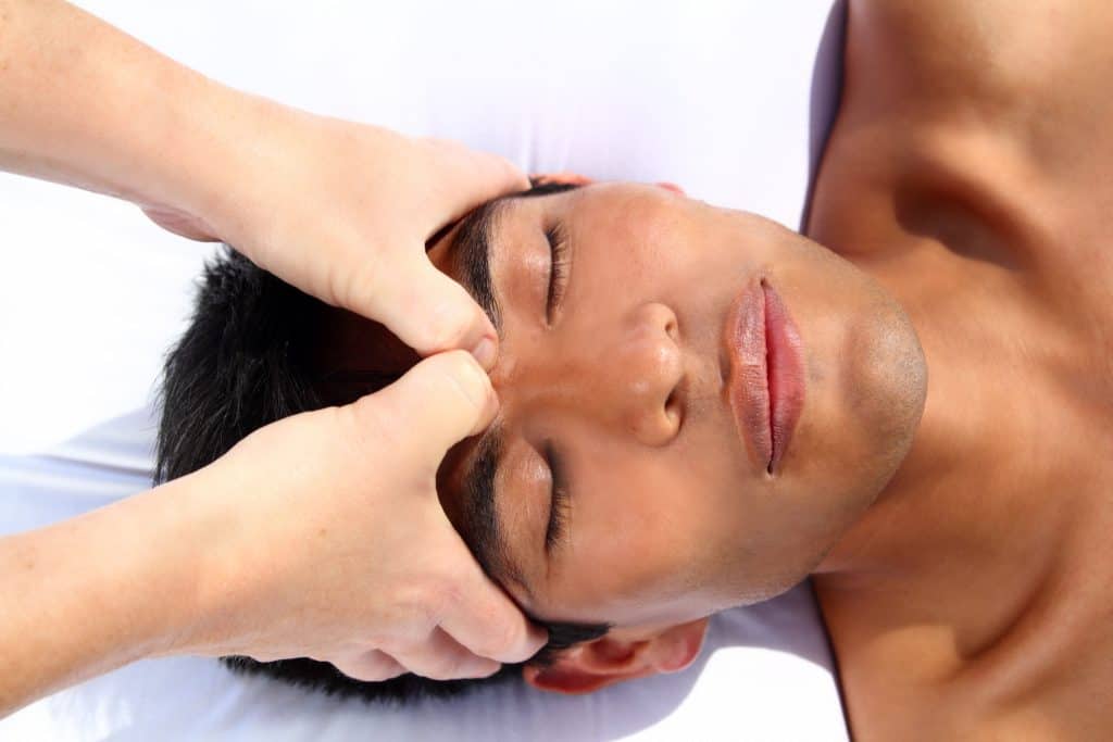 健康・医学 Craniosacral Therapy CranioSacral Therapy for Grief and Loss | Book by Diego