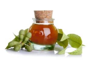 Eucalyptus oil can help your massage clients breathe easier.