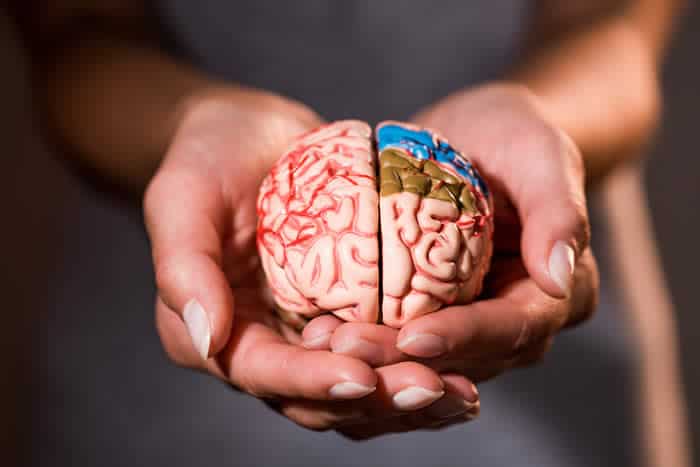 Massage’s Role in Brain Health