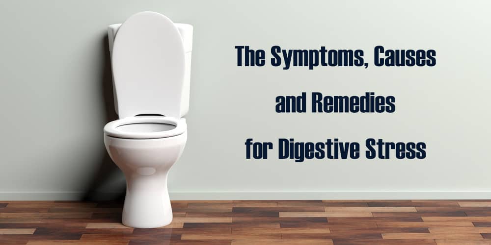 White open toilet with the symptoms, causes and remedies for digestive stress title to the right