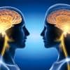 Vagus Nerve: Anatomy, Function & Support