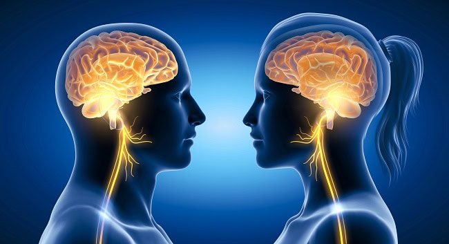 illustration showing active brain energetic vagus nerve tenth cranial nerve