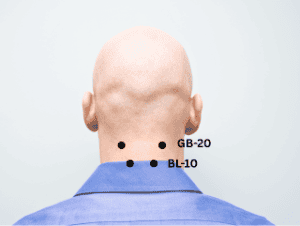 Location of acupoints BL-10 and GB20