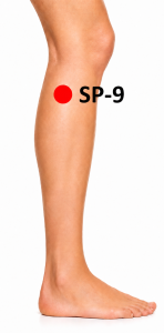 Spleen 9 Acupressure Point Location